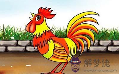 屬雞水瓶座A型血的人性格有什麼特征 屬雞水瓶座A型血的人性格有什麼特征