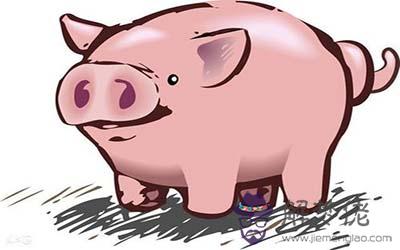 屬豬雙魚座A型血的人性格有什麼特征 屬豬雙魚座A型血的人性格有什麼特征