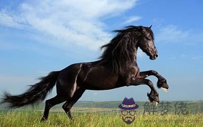 屬馬金牛座A型血的人性格有什麼特征 屬馬金牛座A型血的人性格有什麼特征