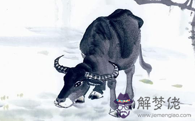 屬牛金牛座A型血的人性格有什麼特征 屬牛金牛座A型血的人性格有什麼特征