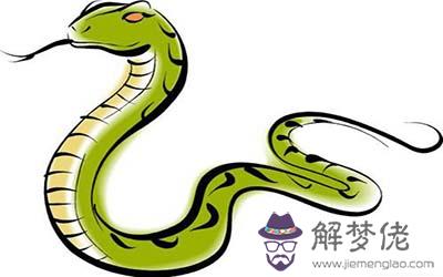屬蛇水瓶座B型血的人性格有什麼特征 屬蛇水瓶座B型血的人性格有什麼特征