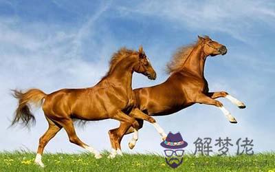 屬馬水瓶座B型血的人性格有什麼特征 屬馬水瓶座B型血的人性格有什麼特征