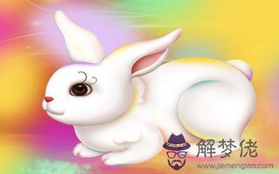 屬兔摩羯座B型血的人性格有什麼特征 屬兔摩羯座B型血的人性格有什麼特征