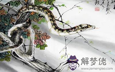 屬蛇摩羯座B型血的人性格有什麼特征 屬蛇摩羯座B型血的人性格有什麼特征