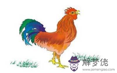屬雞摩羯座B型血的人性格有什麼特征 屬雞摩羯座B型血的人性格有什麼特征