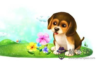 屬狗獅子座B型血的人性格有什麼特征 屬狗獅子座B型血的人性格有什麼特征