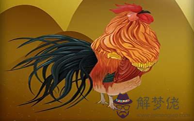 屬雞射手座O型血的人性格有什麼特征