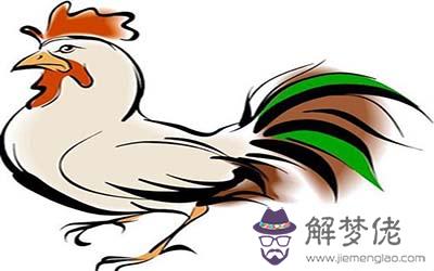 屬雞天蝎座O型血的人性格有什麼特征