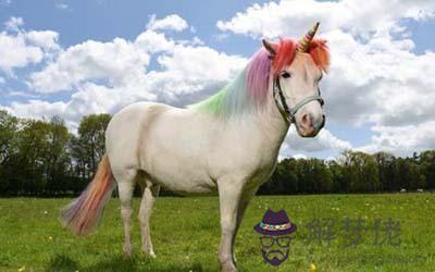 屬馬獅子座O型血的人性格有什麼特征 屬馬獅子座O型血的人性格有什麼特征