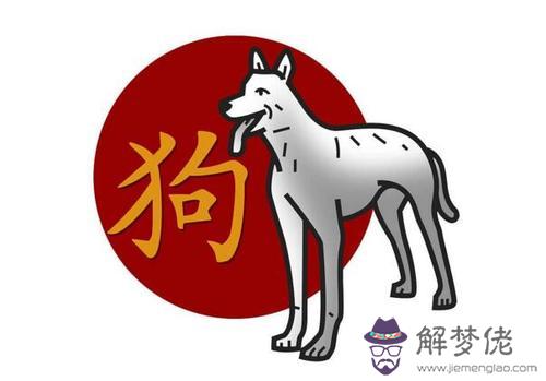 屬狗熊貓型血的性格有什麼特點