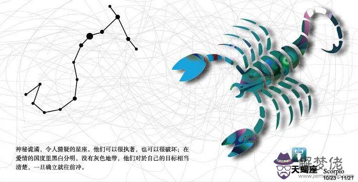 熊貓型血天蝎座的性格特點 熊貓型血天蝎座的性格特點