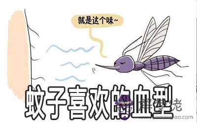 蚊子喜歡的血型是什麼 蚊子喜歡的血型是什麼