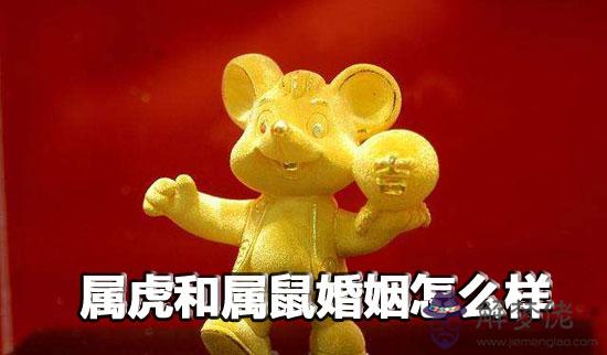 屬虎和屬鼠婚姻怎麼樣 適合在一起嗎 屬虎和屬鼠婚姻怎麼樣 適合在一起嗎