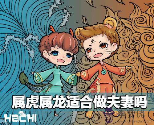屬虎屬龍適合做夫妻嗎 能不能在一起 屬虎屬龍適合做夫妻嗎 能不能在一起
