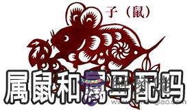 屬鼠和屬馬的相沖嗎 屬鼠屬馬能不能婚配 屬鼠和屬馬的相沖嗎 屬鼠屬馬能不能婚配