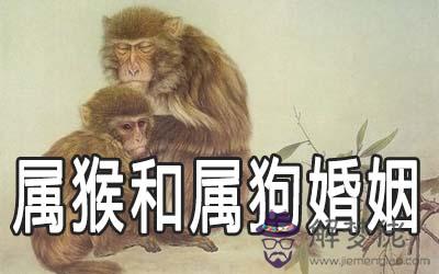 生肖中屬狗和屬猴的婚姻如何