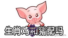 生肖豬和生肖雞適合在一起嗎