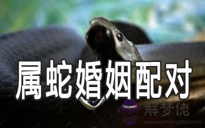 男蛇女蛇婚姻是否相克 男蛇女蛇婚姻是否相克
