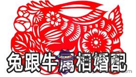 兔跟牛屬相婚配如何 生肖牛和生肖兔能結婚嗎 兔跟牛屬相婚配如何 生肖牛和生肖兔能結婚嗎