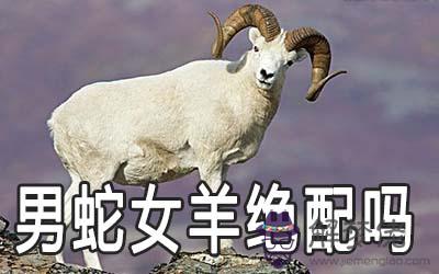男蛇女羊為何說是絕配 配對怎麼樣 