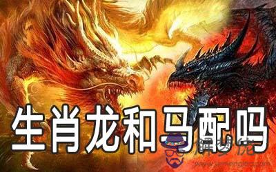 生肖龍和馬配為什麼能長久