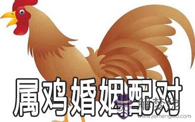93年和93年的結婚好嗎 屬雞婚姻配對表