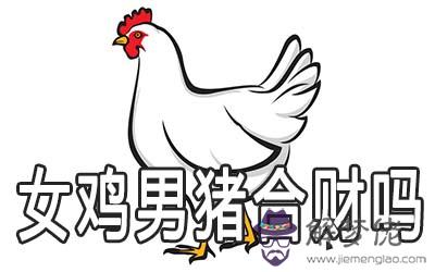 女雞男豬在一起合財嗎 女雞男豬在一起合財嗎