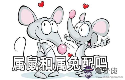 屬鼠和屬兔的合不合 生肖屬鼠配屬兔嗎