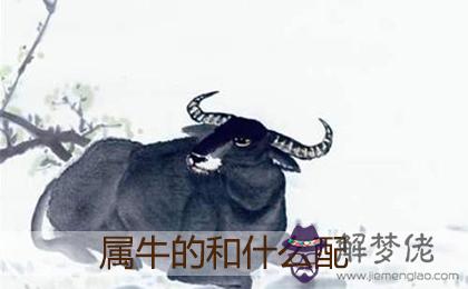 屬牛的人和什麼屬相最配 屬牛的人和什麼屬相最配