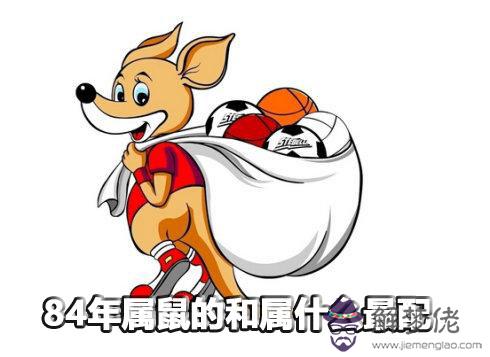 84年屬鼠的和屬什麼最配 84年屬鼠的和屬什麼最配