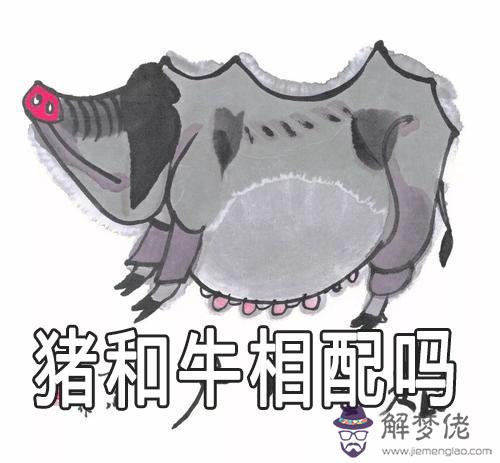 生肖豬和牛相配嗎 屬牛和屬豬的生肖配對怎樣 生肖豬和牛相配嗎 屬牛和屬豬的生肖配對怎樣
