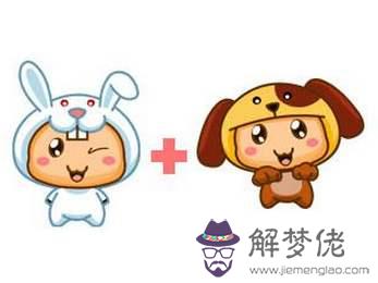 屬兔的和屬狗的在一起合不合適 屬兔的和屬狗的在一起合不合適
