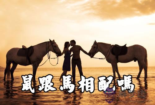 屬鼠和屬馬這兩個屬相能不能相配 屬鼠和屬馬這兩個屬相能不能相配