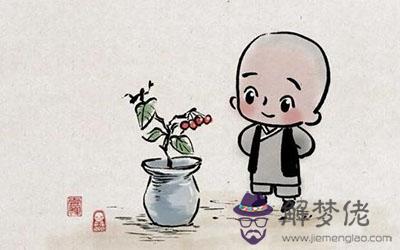 不爭不搶的星座 吃虧了也懶得計較