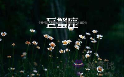 這些星座和金牛座是命中注定的緣分 這些星座和金牛座是命中注定的緣分