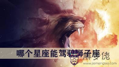 十二星座中哪個星座能駕馭獅子座