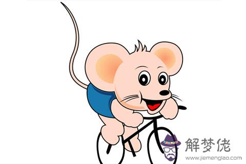 2017年屬什麼生肖 2017年屬什麼生肖