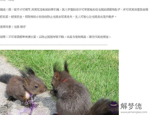 我的三線倉鼠懷孕了，能生幾個寶寶？我是個學生，爸媽不愿意我養倉鼠，我是偷養的。生出來太多，怕沒地方