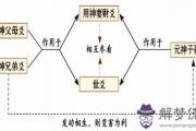 財爻用神什麼意思