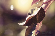 2017年10月8日是什麼節日