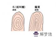 指紋揭示一生命運