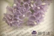 有哪些國家過春節