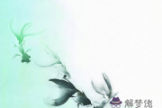 馬和豬配嗎
