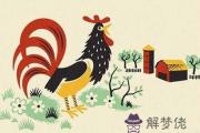 屬雞人命好不好