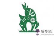 1991年屬羊是什么命