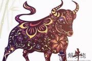 生肖牛適合養什么寵物