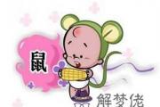 屬鼠2015年要注意什么