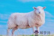 屬羊人起名字的宜忌