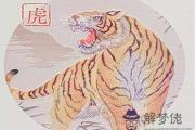 屬虎人起名字的宜忌