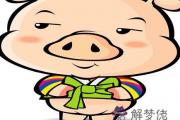 生肖豬的取名宜忌